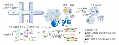 中國(guó)人自己的單細(xì)胞測(cè)序儀來(lái)了！